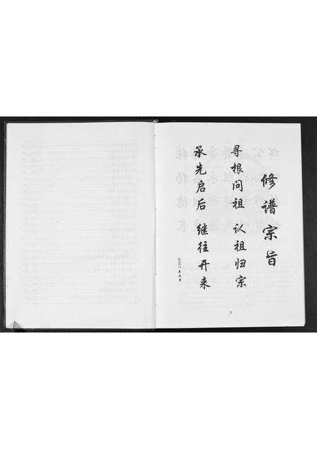 广西张氏-广西省玉林贵港张化孙参公宗支谱.pdf电子版插图4