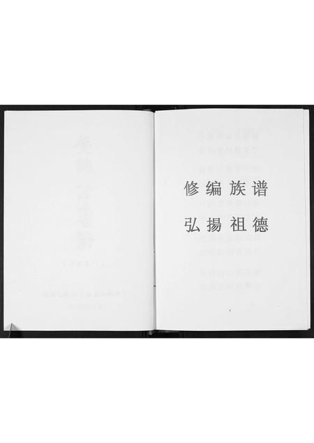 广西张氏-[张氏]登麟公家谱.pdf电子版插图2