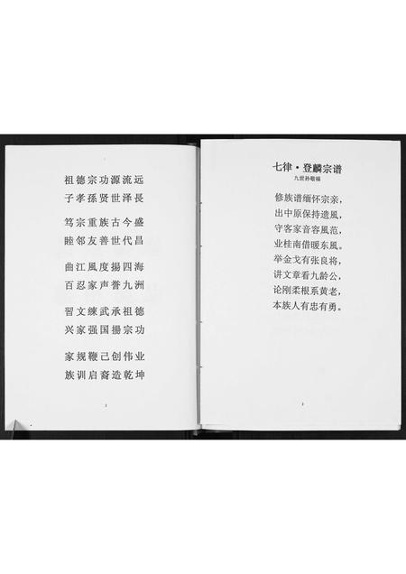 广西张氏-[张氏]登麟公家谱.pdf电子版插图3
