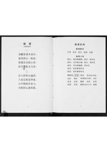 广西张氏-[张氏]登麟公家谱.pdf电子版插图4