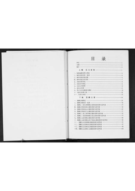 广西张氏-[张氏]登麟公家谱.pdf电子版插图5