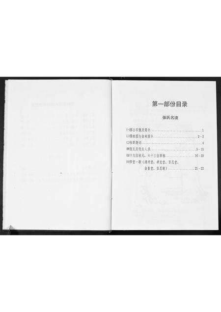 广西张氏-张氏大禄公族谱.pdf电子版插图3