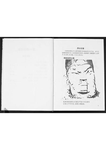广西张氏-张氏大禄公族谱.pdf电子版插图4