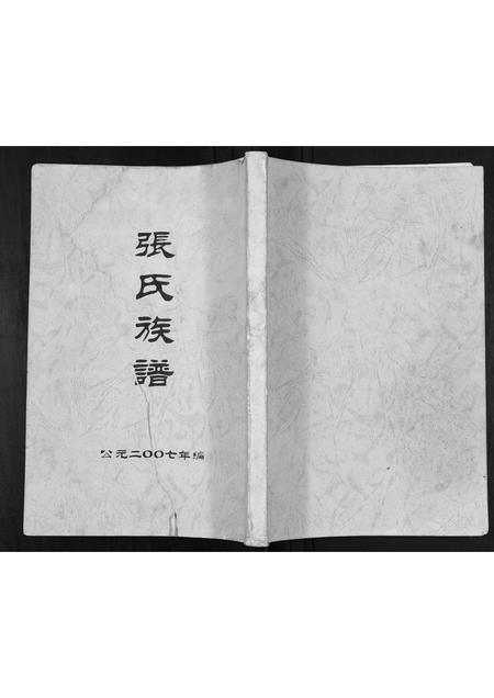 广西张氏-张氏宗谱.pdf电子版插图