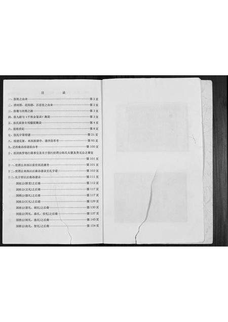 广西张氏-张氏宗谱.pdf电子版插图3