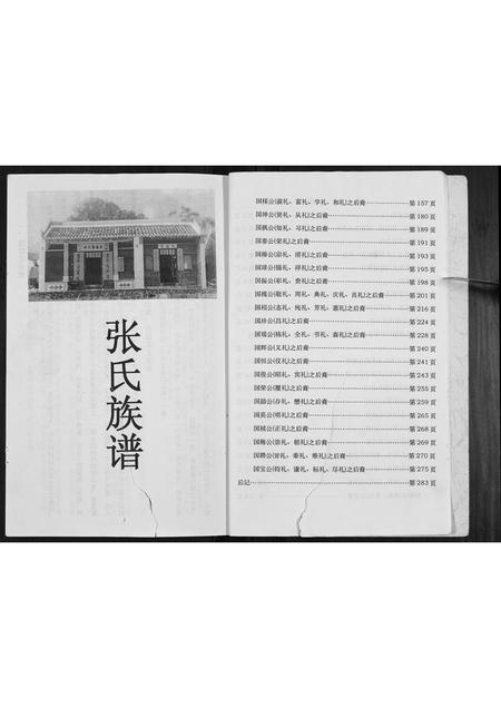 广西张氏-张氏宗谱.pdf电子版插图4
