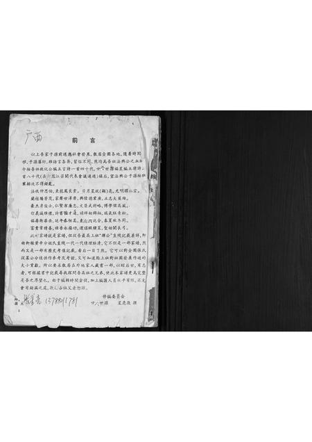 广西张氏-张氏宗谱.pdf电子版插图1