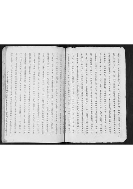 广西张氏-张氏宗谱.pdf电子版插图5