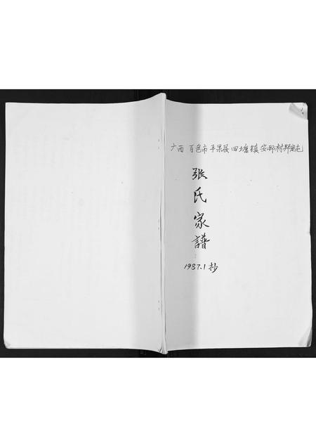 广西张氏-张氏家谱.pdf电子版插图