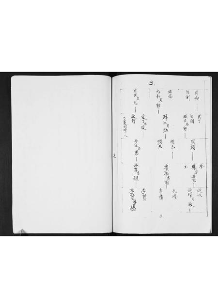 广西张氏-张氏家谱.pdf电子版插图3