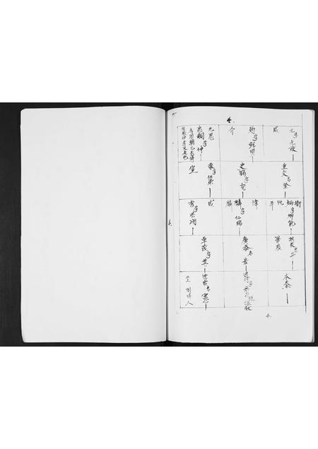 广西张氏-张氏家谱.pdf电子版插图4