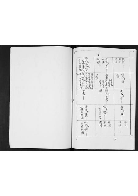 广西张氏-张氏家谱.pdf电子版插图5