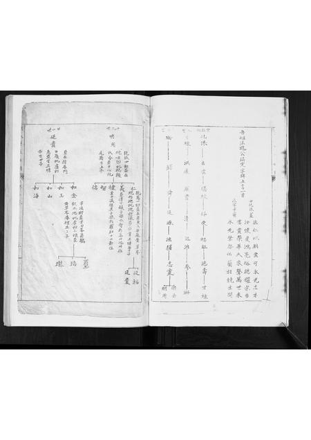 广西张氏-张氏家谱.pdf电子版插图4