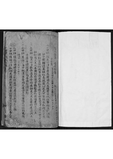 广西张氏-张氏家谱历代记录[2卷首1卷].pdf电子版插图1