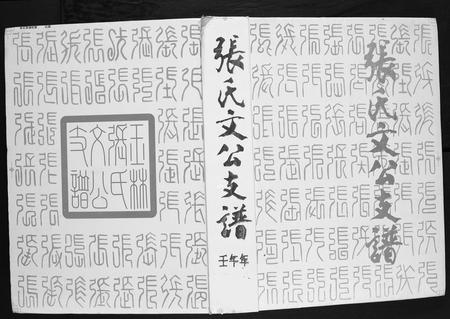 广西张氏-张氏文公支谱.pdf电子版插图