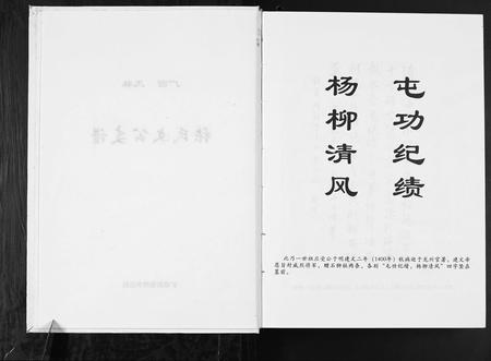 广西张氏-张氏文公支谱.pdf电子版插图2