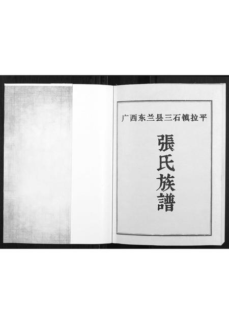 广西张氏-张氏族谱.pdf电子版插图1