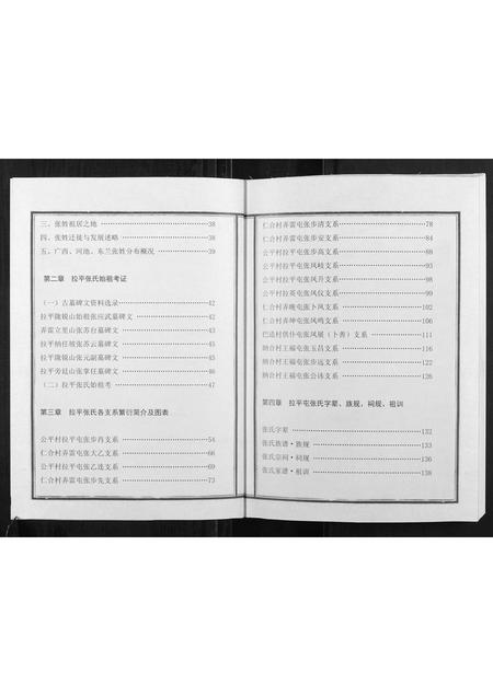 广西张氏-张氏族谱.pdf电子版插图3