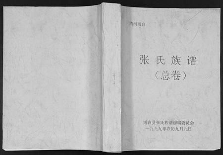 广西张氏-张氏族谱.pdf电子版插图