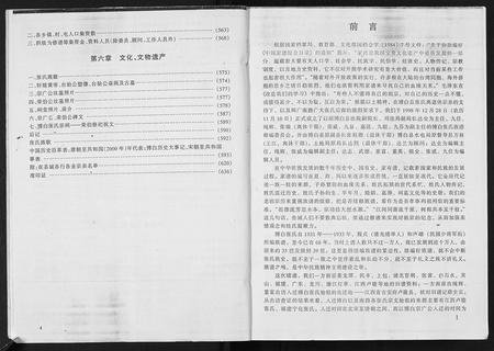 广西张氏-张氏族谱.pdf电子版插图4