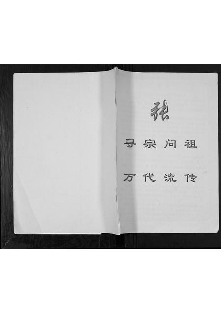 广西张氏-张氏族谱.pdf电子版插图