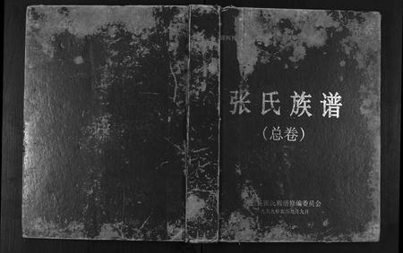 广西张氏-张氏族谱.pdf电子版插图