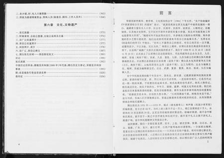 广西张氏-张氏族谱.pdf电子版插图4