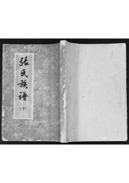 广西张氏-张氏族谱[2卷].pdf电子版插图