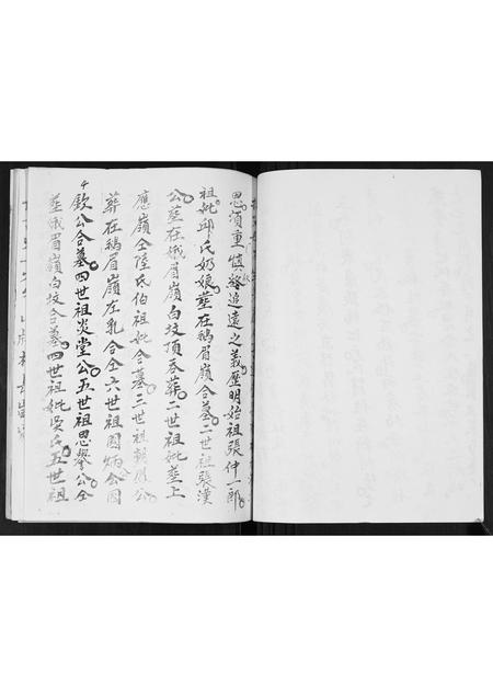 广西张氏-张氏蒸当当族谱.pdf电子版插图3