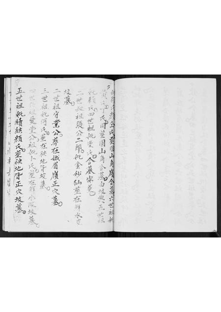 广西张氏-张氏蒸当当族谱.pdf电子版插图4