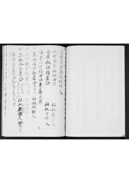 广西张氏-张氏蒸当当族谱.pdf电子版插图5
