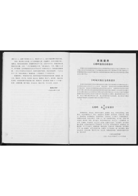 广西张氏-张氏双湾公支谱.pdf电子版插图5
