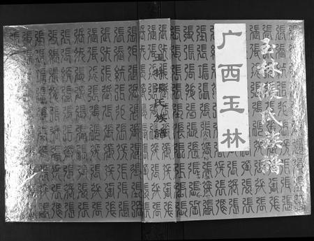 广西张氏-玉林张氏族谱.pdf电子版插图