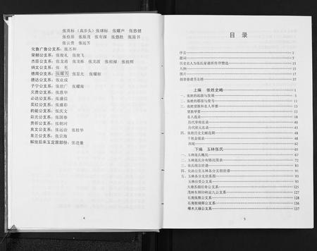 广西张氏-玉林张氏族谱.pdf电子版插图4