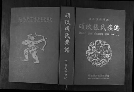 广西张氏-硕玖张氏族谱.pdf电子版插图