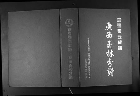 广西张氏-华夏张氏统谱广西省玉林分谱.pdf电子版插图