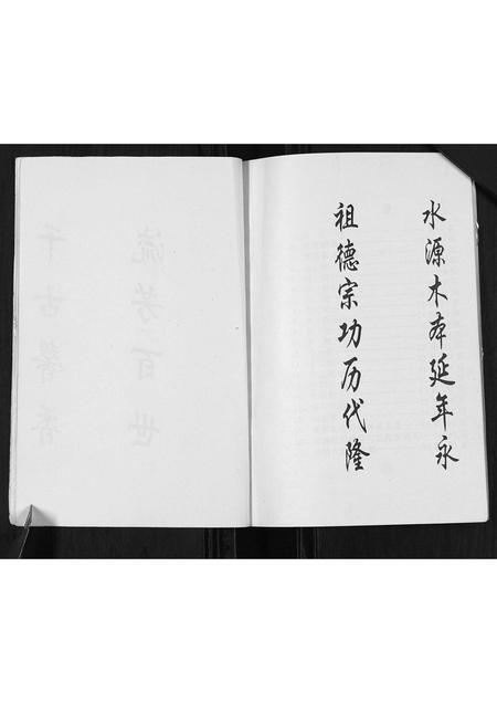 河北张氏-张氏世谱.pdf电子版插图4