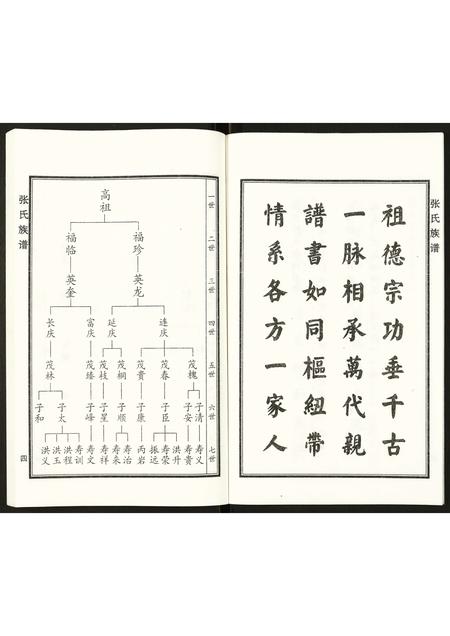 河北张氏-张氏家谱.pdf电子版插图5