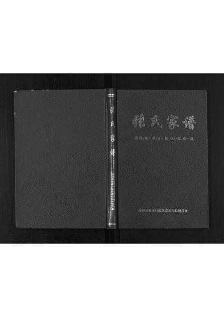 河北张氏-张氏家谱.pdf电子版插图