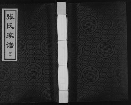 河北张氏-张氏家谱[9卷首1卷].pdf电子版