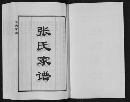 河北张氏-张氏家谱[9卷首1卷].pdf电子版插图1