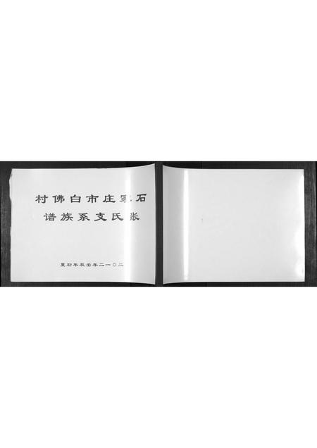 河北张氏-张氏支系族谱.pdf电子版插图