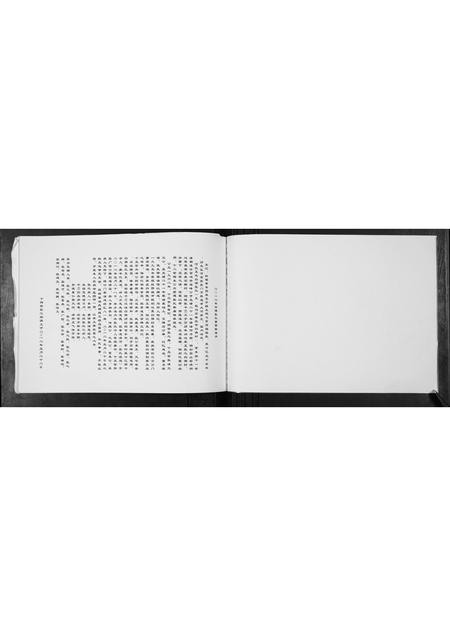 河北张氏-张氏支系族谱.pdf电子版插图1