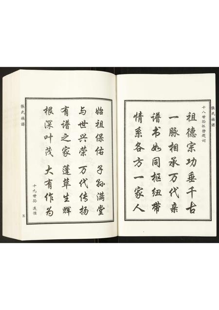 河北张氏-张氏族谱.pdf电子版插图5