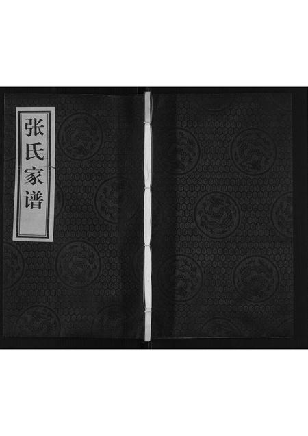 河北张氏-张氏族谱.pdf电子版插图
