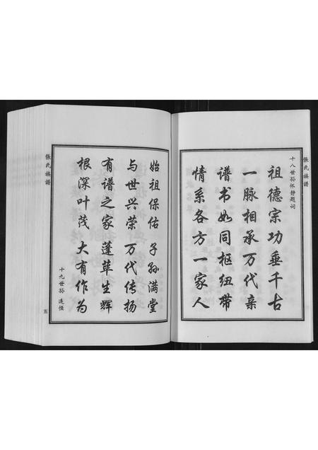 河北张氏-张氏族谱.pdf电子版插图3