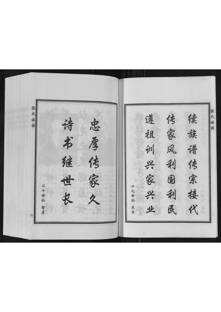 河北张氏-张氏族谱.pdf电子版插图4