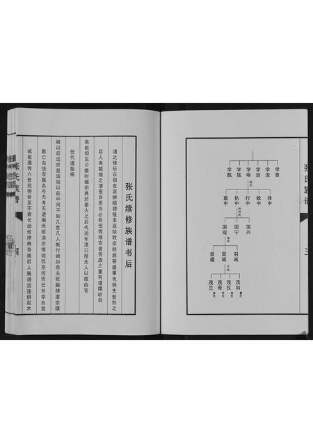 河北张氏-张氏族谱.pdf电子版插图5