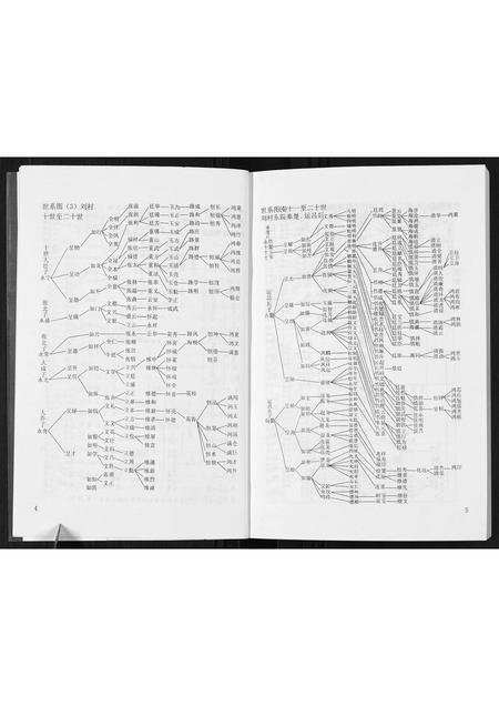河北张氏-张氏族谱全志[2卷].pdf电子版插图3