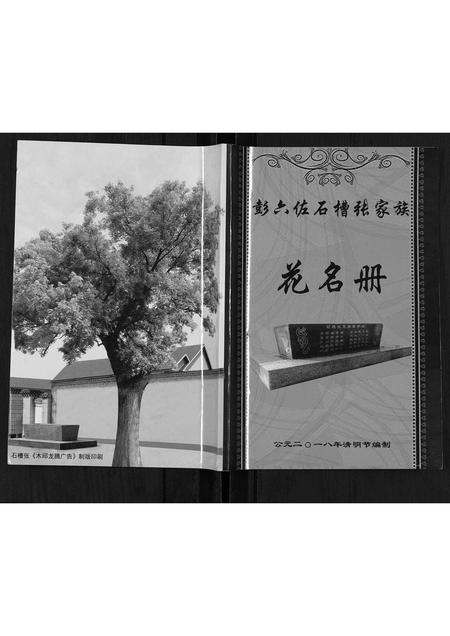 河北张氏-彭六佐石槽张家花名册.pdf电子版插图